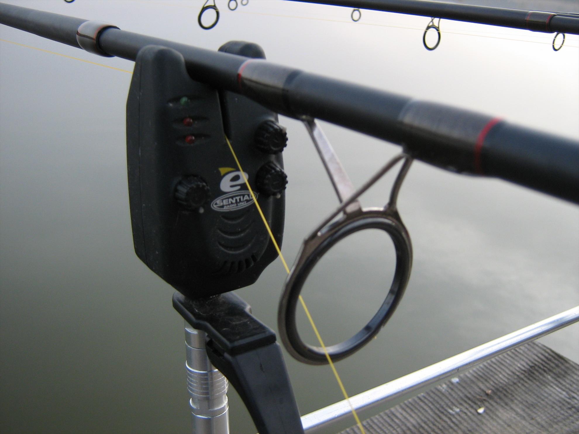 Magura 9 31 - 31 mar. - img0079.JPG